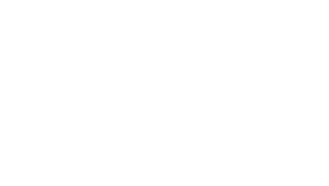 FindPenguins